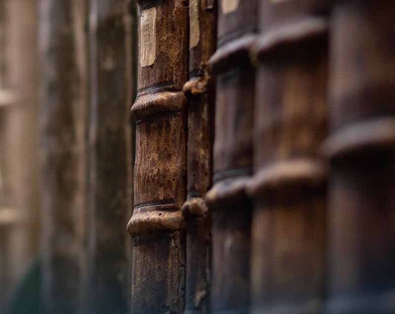 Il Vaso di Pandora | servizi per biblioteche e archivi